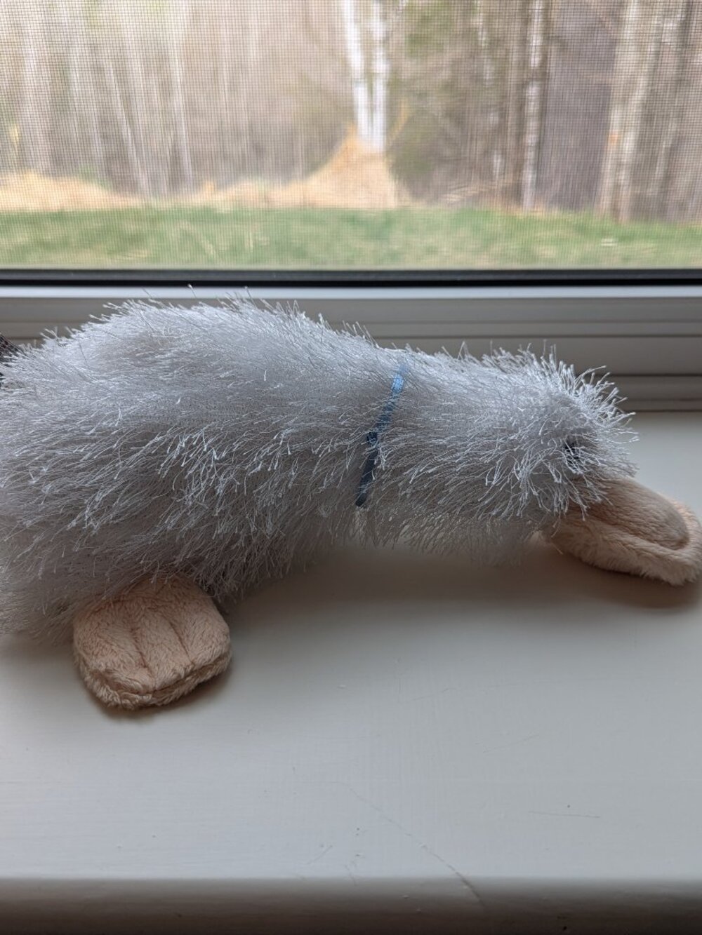 Webkinz - Googles - no code - Picture 2 of 3